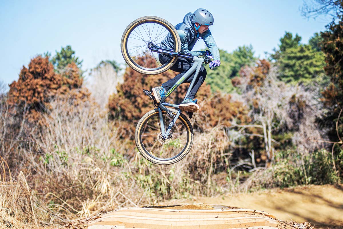 【26DJバイク 完成車】Polygon TRID【送料無料】