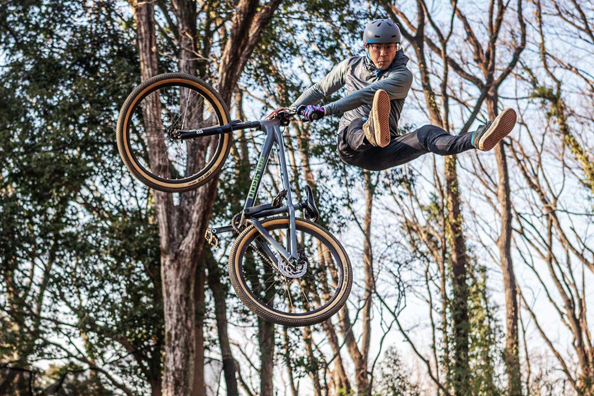 【26DJバイク 完成車】Polygon TRID【送料無料】